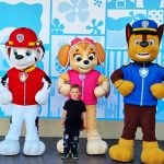 PAW PATROL 3